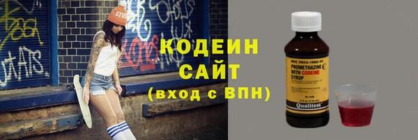 твердый Заводоуковск