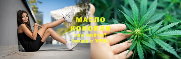 твердый Заводоуковск