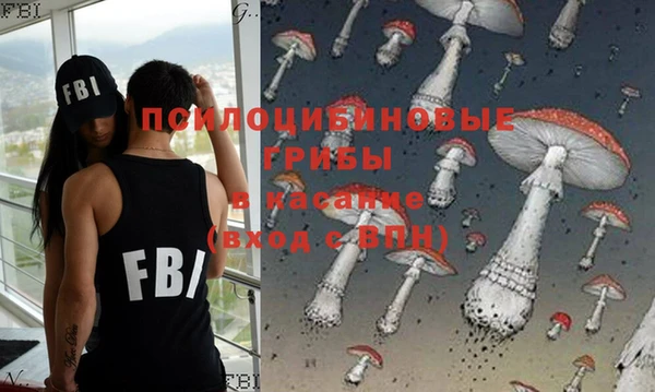 метамфетамин Ельня