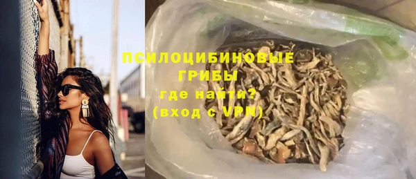 винт Елабуга