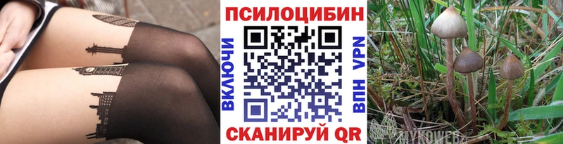 Псилоцибиновые грибы ЛСД  Копейск 